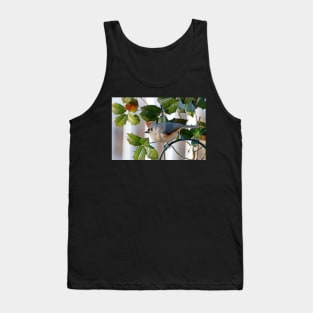 Titmouse Tank Top